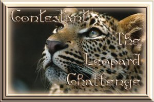 This is another big overdone banner I have to have.