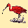 My first ibis charm