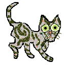 a silver tabby rex petz cat